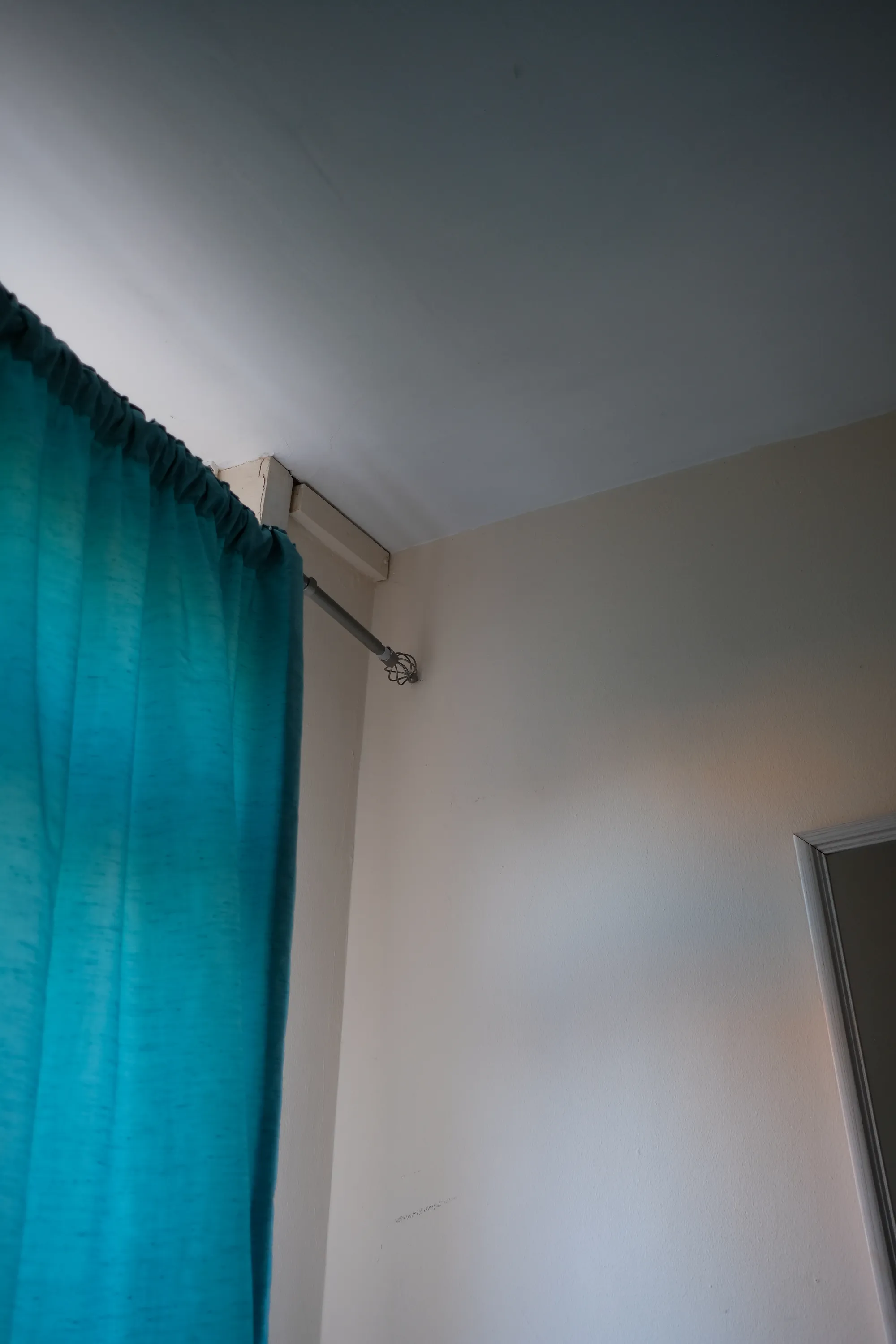 New Neighbours photograph 2