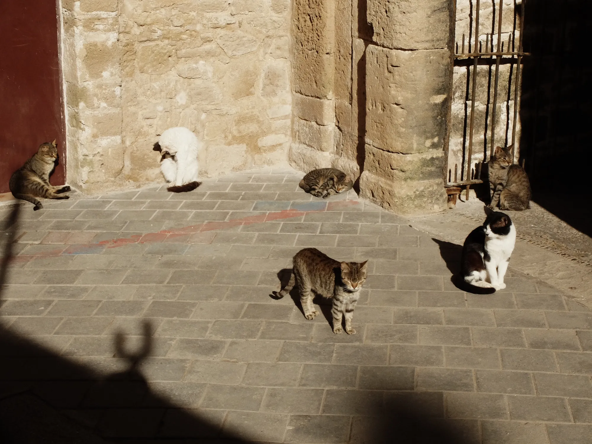 Essaouira photograph 15